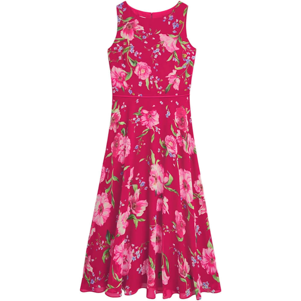 Hobbs Carly Dress